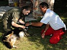 Tierärztin Oberstleutnant Winter überprüfte die veterinärmedizinische Eignung der Suchhunde.