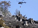 Der Waldbrand hat zerstörerische Spuren hinterlassen.