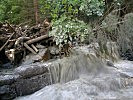 Verklausungen bedrohen die am Bachverlauf liegenden Siedlungsgebiete.