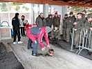 Vor dem Start wurden die Soldaten von einem Fachmann des Bob-Skeleton-Clubs Stubai in das Sporgerät und die Kunsteisbahn eingewiesen.