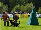 Auch die Militärhunde bewiesen ihr Können.