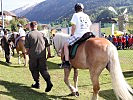 Lieblinge der Kinder: Die Haflinger des Tragtierzentrums Hochfilzen.