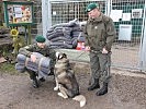 Herzliche Begrüßung im Tierheim "Garten Eden".