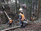 Umgestürzte Bäume werden aus der Gefahrenzone gebracht.