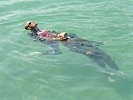 Bergen aus dem Wasser mit verschiedenen Rettungsgriffen.