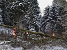 Die Pioniere arbeiten den Baum auf.