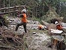 Der gefällte Baum wir für den Abtransport mit der Seilwinde vorbereitet.