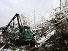 Ein Kettensägentrupp wird von einem "Harvester" unterstützt.