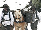 Tragtiergruppen aus Deutschland und Österreich unterstützten die Truppe.