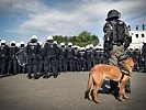 Auch Militärhunde wurden bei der Übung eingesetzt.