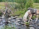 Ein kurzer Trinkstopp für einen Haflinger.