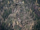 Ein "Black Hawk" unterstützt in Kärnten.