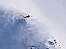 Landungen auf Schnee werden trainiert.