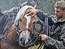 Das Pferd ist ein Kamerad der Soldaten.