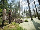 Teile des Truppenübungsplatzes Allentsteig sind "Natura 2000"-Gebiet.