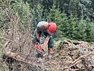 Verlegte Straßen und Wege werden von Holzbruch freigräumt.