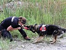 Die wichtigste Voraussetzung für die Arbeit mit dem Hund ist Motivation, Belohnungen gibt es erst nach dem richtigen Verhalten.