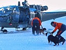 Aufsitzen der Hundeführer mit ihren Hunden.