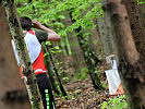 Beim Orientierungslauf sind mit Karte und Kompass mehrere Punkte im Wald anzulaufen, die mit orange-weißen Postenschirmen markiert sind.