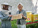 Klaudia Tanner bei den Bundesheer-Bienenstöcken in der Wiener Maria-Theresien-Kaserne.