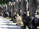 Das Militärhundezentrum im Burgenland züchtet und bildet Diensthunde aus.