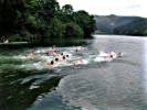 Massenstart zum Schwimmen.