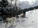Höhenunterschiede von bis zu 2.200 Metern.