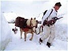 1. Platz: Tragtierstaffel, Vizeleutnant Günter Meindl, Bildstelle/Miitärkommando Oberösterreich.