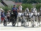 Die Ehrengäste ziehen in einer Kutsche von Kaiser Franz Josef ein.