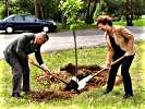 Symbolische Geste: Generalmajor Winkelmayer hilft mit, einen Kastanienbaum zu pflanzen.