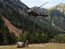 Ein "Alouette" III Hubschrauber nimmt lebensnotwendiges Futter auf.