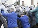 Die Ordnungseinsatztruppe stellt sich den Rollenspielern entgegen.