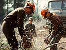 Über 300 Soldaten sind heute im Einsatz.