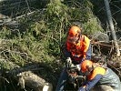 Die Holzarbeit erfolgt mit Sprengschnur und Motorsäge.