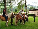 Großes Gedränge herrschte auch bei den Haflinger-Pferden.