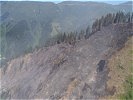 Am Großsonnberg bei Taxenbach ist das Ausmaß des Schadens deutlich zu sehen.