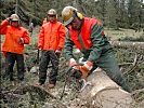 Ein Pionier mit Kettensäge teilt einen gestürzten Baum (Zum Vergrößern anklicken!)