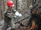 Ein Soldat bekämpft einen Waldbrand (Zum Vergrößern anklicken!)