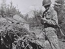Fernmeldekräfte stellten die Führungsfähigkeit der Brigade sicher. (Bild öffnet sich in einem neuen Fenster)
