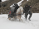 Soldaten der 6. Gebirgsbrigade mit Tragtier