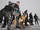 Militärhundeführer bereiten sich auf einen möglichen Einsatz vor. (Bild öffnet sich in einem neuen Fenster)