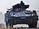 ...und "Marder" transportiert werden. (Bild öffnet sich in einem neuen Fenster)