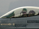 F-16 "Fighting Falcon". (Bild öffnet sich in einem neuen Fenster)