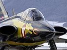Der Draken im "Dragon-Look". (Bild öffnet sich in einem neuen Fenster)