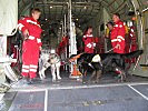 Mitarbeiter der Rettungshundebrigade in einer C-130 des Heeres. (Bild öffnet sich in einem neuen Fenster)
