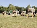 Rekruten beim Liegestütz-Training.