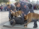 ...sondern auch "Bissiges" von der Polizei ... (Bild öffnet sich in einem neuen Fenster)