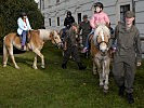 Auch Haflinger aus Hochfilzen drehen in Wien ihre Runden. (Bild öffnet sich in einem neuen Fenster)