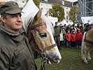 Besonders bei den jungen Besuchern beliebt: Die Heeres-Haflinger. (Bild öffnet sich in einem neuen Fenster)