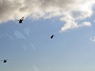 Die Hubschrauberformation im Anflug auf Wien. (Bild öffnet sich in einem neuen Fenster)